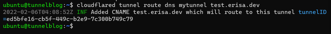 "cloudflared tunnel route dns mytunnel test.erisa.dev" being ran, with output stating "INF Added CNAME test.erisa.dev. which will route to this tunnel".